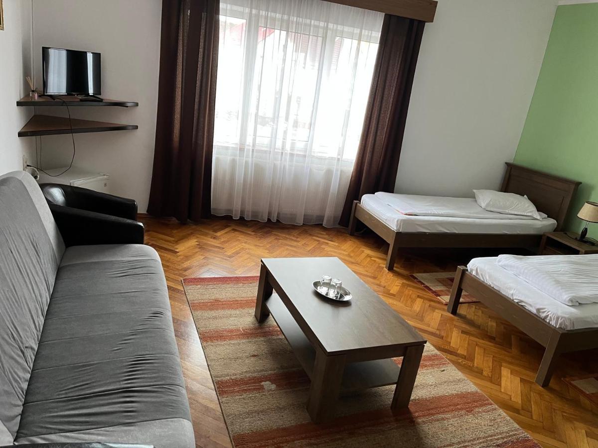 Pensiunea Diana Otel Făgăraş Dış mekan fotoğraf