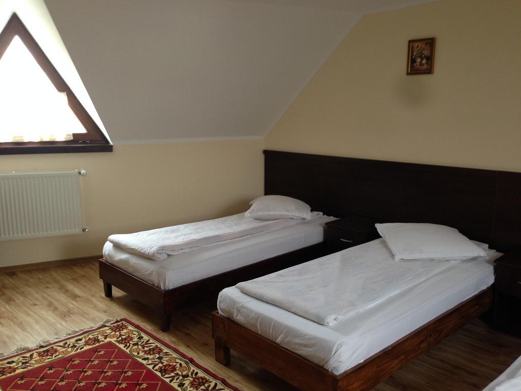 Pensiunea Diana Otel Făgăraş Dış mekan fotoğraf